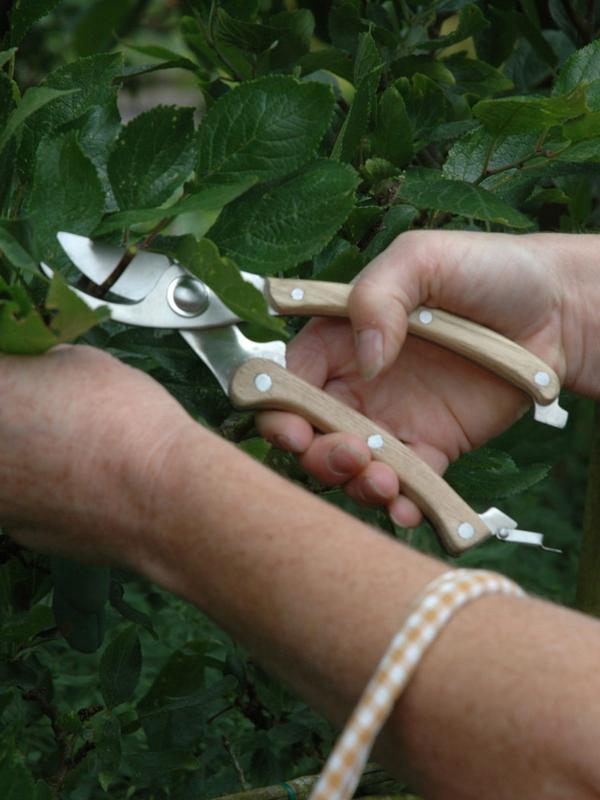 Attrezzo da giardino - Forbici per fiori con manico in legno di frassino