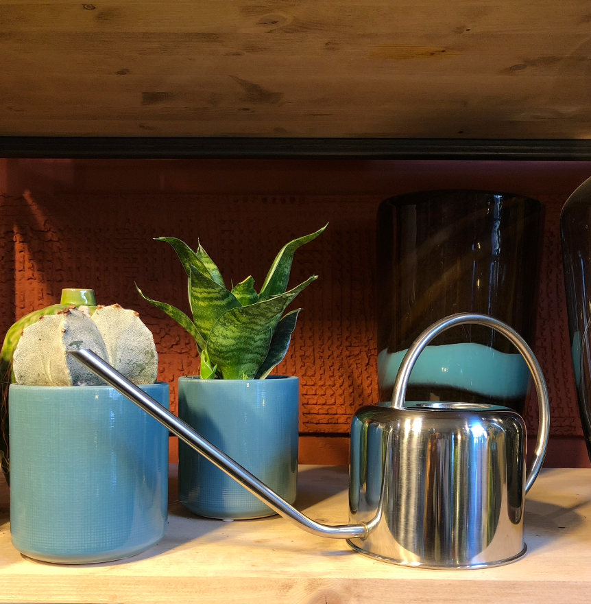 Annaffiatoio inox lt 1 ESSCHERT DESIGN