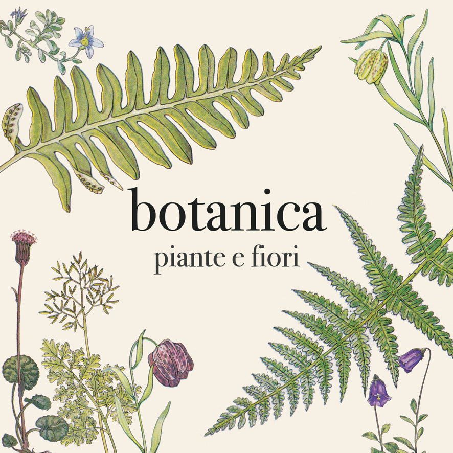 Botanica_atelier_shop